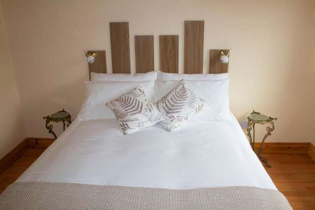 Отели типа «постель и завтрак» Madra Rua Organic Accommodation Баллилиффин-48